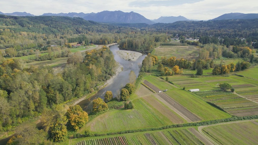 Aerial view of Fall City restoration site. A river flow close to farmland and lush green pastures bordered by trees.