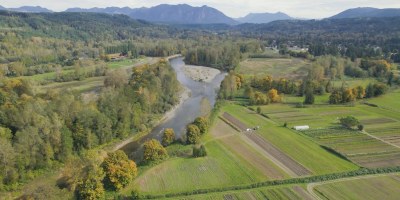 Aerial view of Fall City restoration site. A river flow close to farmland and lush green pastures bordered by trees.